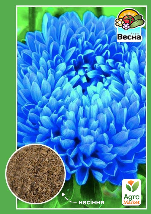 

Айстра Блакитний вихор ТМ Весна 0.2г