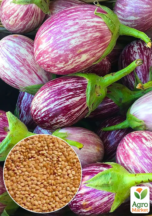 

На вагу Баклажан Матросик ТМ Весна ціна за 2г