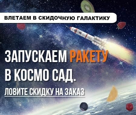 Ловите Заказ Ракету! Получите скидку Ловите Заказ Ракету! Получите скидку