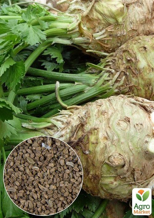 

На развес Сельдерей корневой ТМ Весна цена за 2г