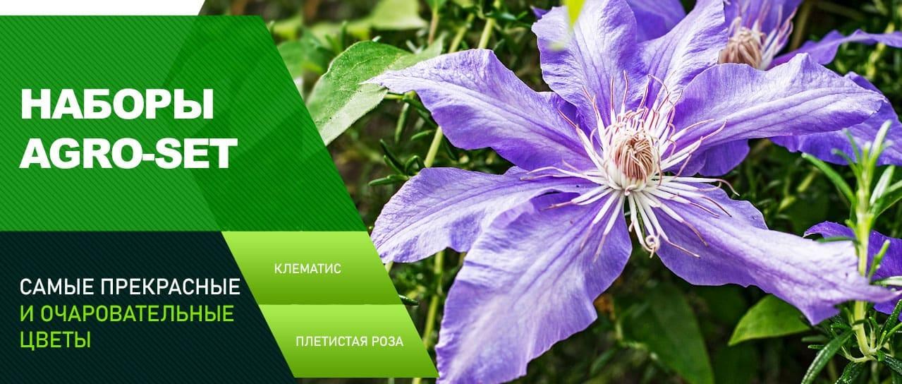 Наборы AGRO-SET Наборы AGRO-SET