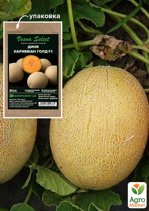 

Дыня Кариббиан Голд ТМ Vesna Select 5шт