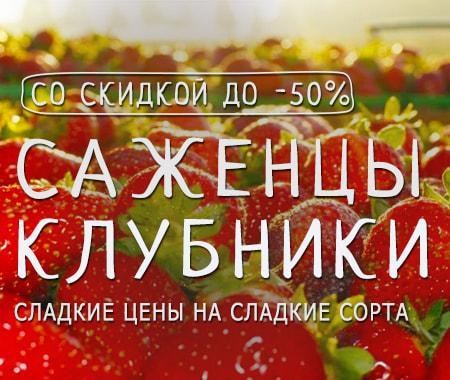 Акция! Скидка до -50% на абсолютно все сорта клубники Акция! Скидка до -50% на абсолютно все сорта клубники