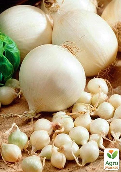 

Цибуля-сіянка 1кг (арбажейка) біла Біла королева (Україна)