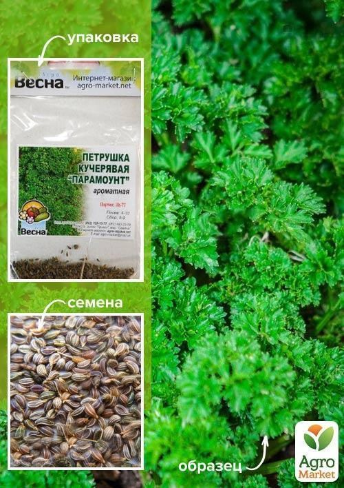 

Петрушка кучерявая Парамоунт (Зипер) ТМ Весна 3г