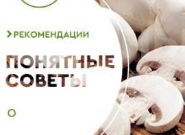 Як вирощувати печериці - корисні статті про садівництво від Agro-Market
