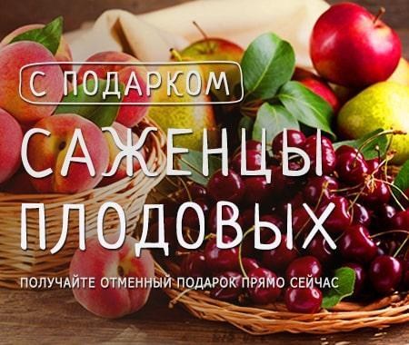 Акция! Выписывайте саженцы плодовых деревьев и получайте полезный подарок Акция! Выписывайте саженцы плодовых деревьев и получайте полезный подарок