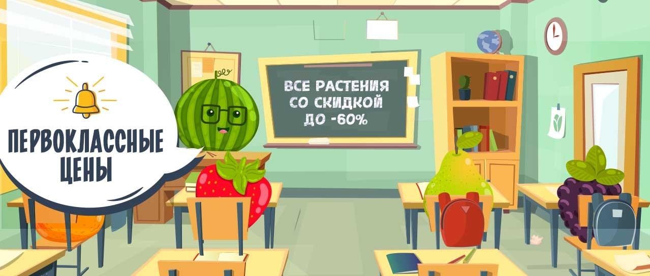 ПервоКлассные цены ПервоКлассные цены