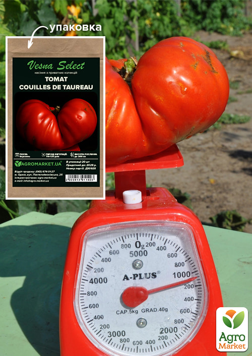 Томат "Couilles de taureau" ТМ "Vesna Select" 20шт
