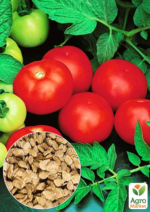 

На развес Томат Розан ТМ Весна цена за 1г