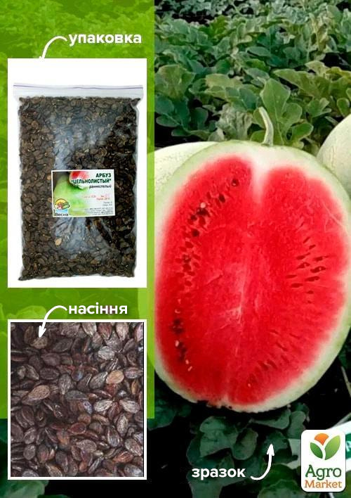 

Арбуз Цельнолистный ТМ Весна 500г
