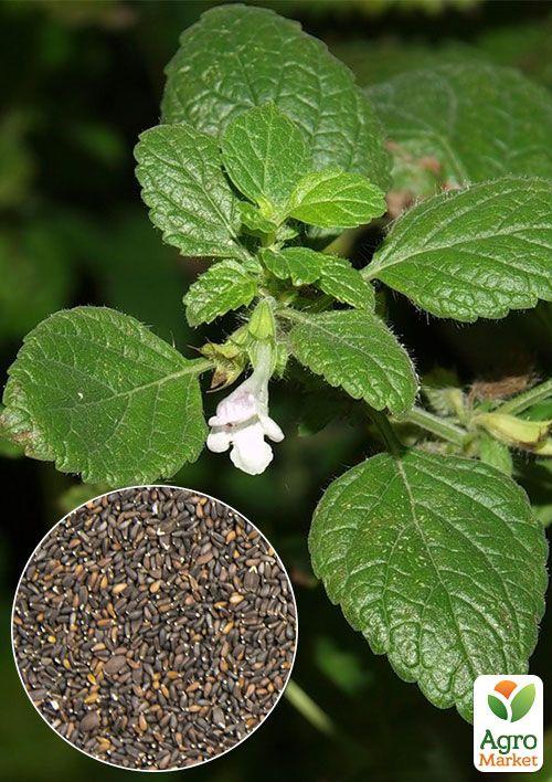 На развес Мелисса "Лекарственная" (Мята лимонная) ТМ "Весна" цена за 1,5г