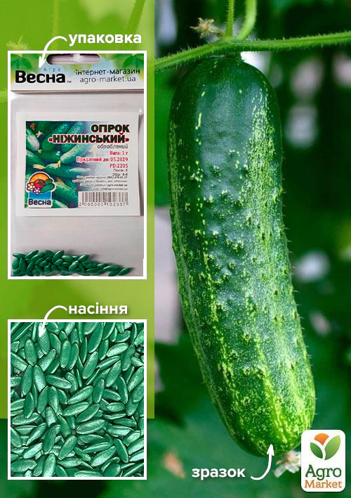 

Огірок оброблений Ніжинський (Зипер) ТМ Весна 1г