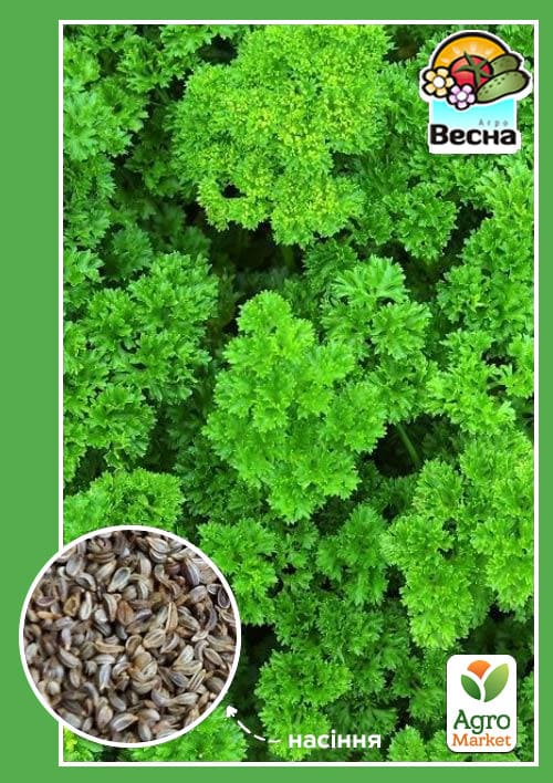 

Петрушка Кучерявая ТМ Весна 1.5г