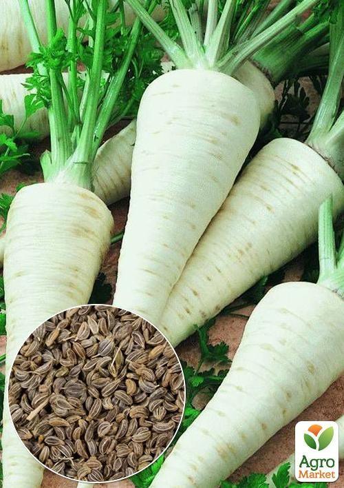 

На развес Петрушка корневая Берлинская ТМ Весна цена за 5г