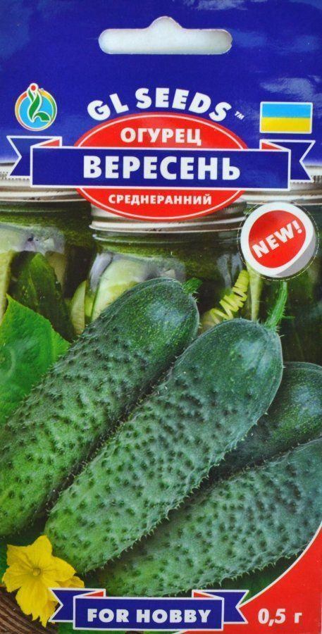 

Огірок Вересень ТМ GL SEEDS 0.5г