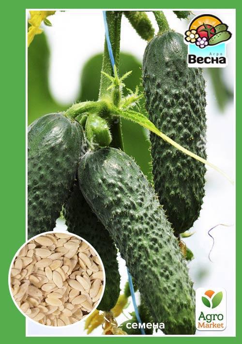 

Огірок Кімнатний ТМ Весна 0.2г