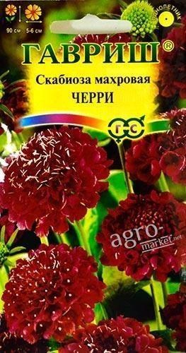 

Скабиоза махровая "Черри" ТМ "Гавриш" 0.5г