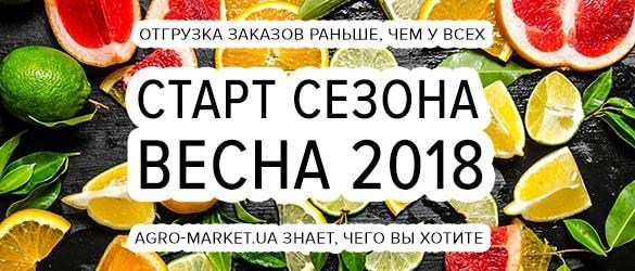 Официальный старт сезона Весна-2018: спешите сделать заказ Официальный старт сезона Весна-2018: спешите сделать заказ