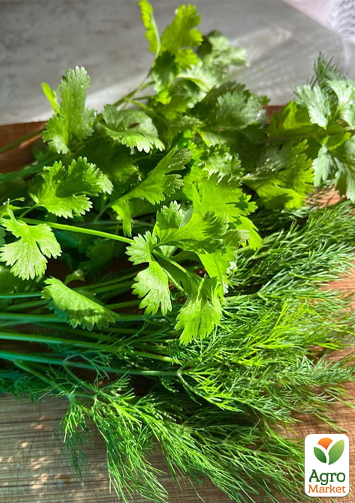

Комплект семян зелень Ароматная Свежесть 5уп