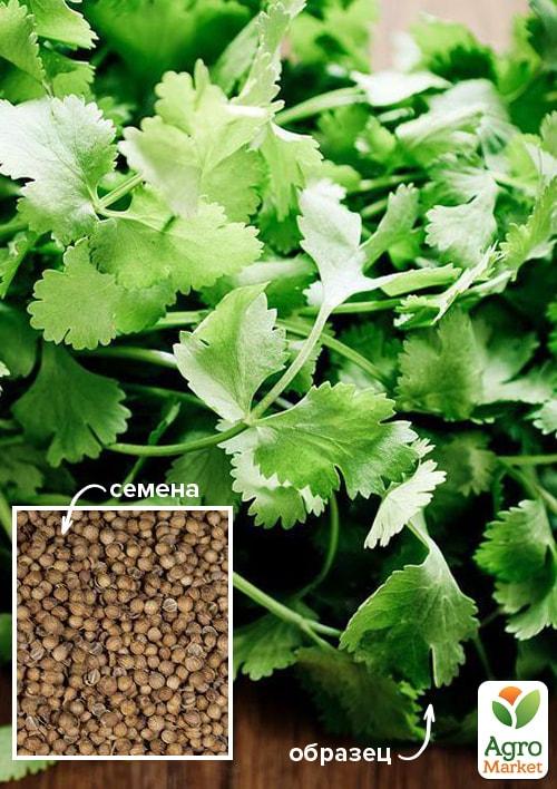 

На развес Кориандр Армянский стимул ТМ Весна цена за 20г