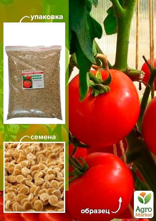 Томат "Факел" ТМ "Весна" 500г