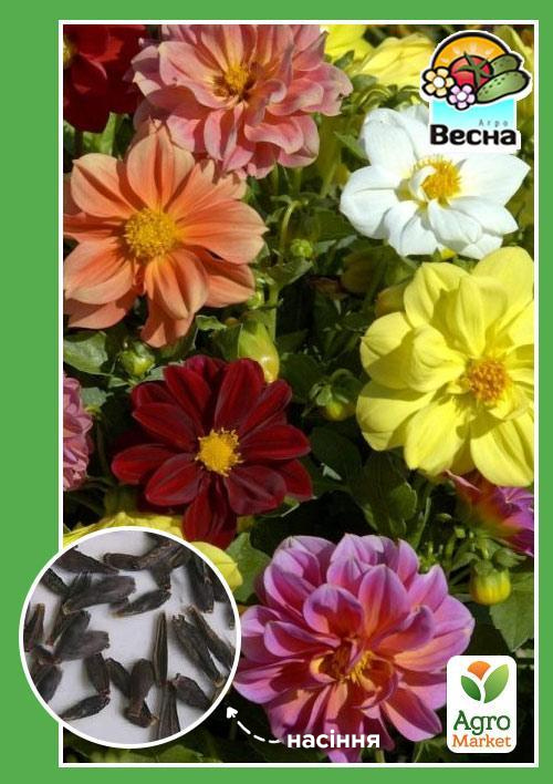 

Жоржина Карликова Суміш ТМ Весна 0.2г