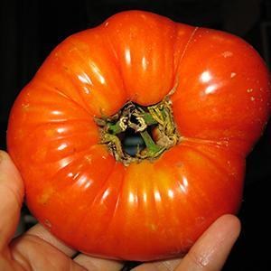 Василь Лазар6.jpg Василь Лазар6.jpg