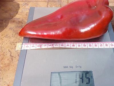 Оксана Ушакова Перец Капи1.jpg Оксана Ушакова Перец Капи1.jpg