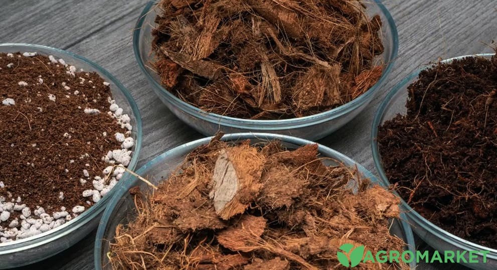 sub2-min.jpg sub2-min.jpg