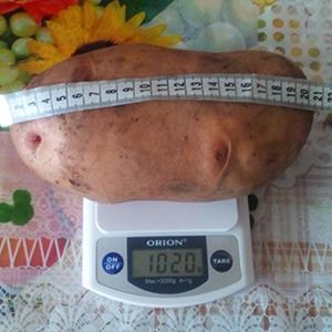 Иван Деревянко.jpg Иван Деревянко.jpg