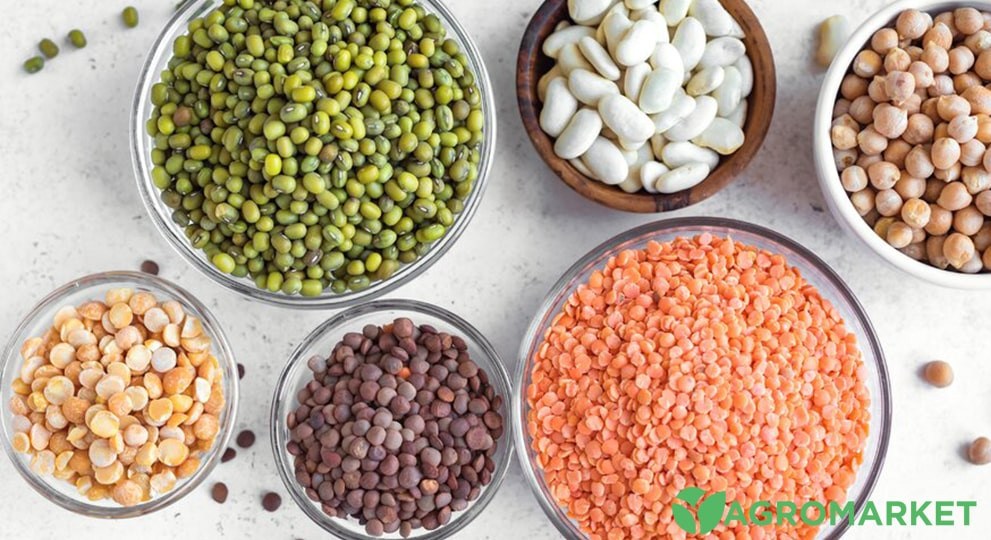 bob4-min.jpg bob4-min.jpg