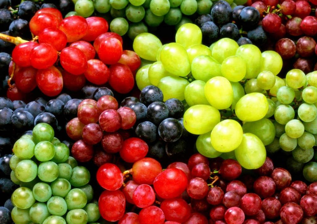 Різновиди сортів винограду