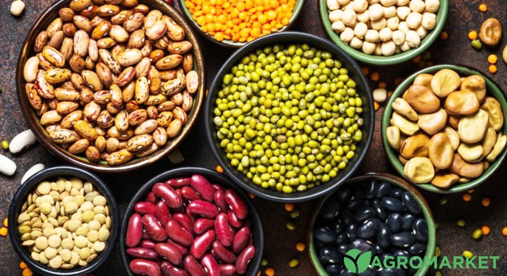 bob1-min.jpg bob1-min.jpg