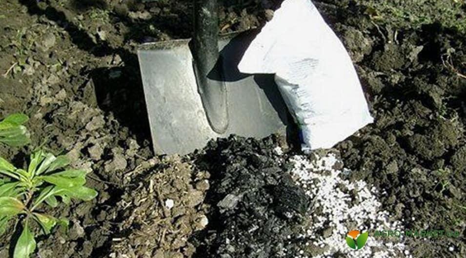 Удобрение почвы весной: чем удобрять огород весной и какие вносить ...