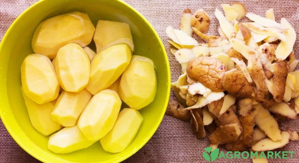 karto1-min.jpg karto1-min.jpg