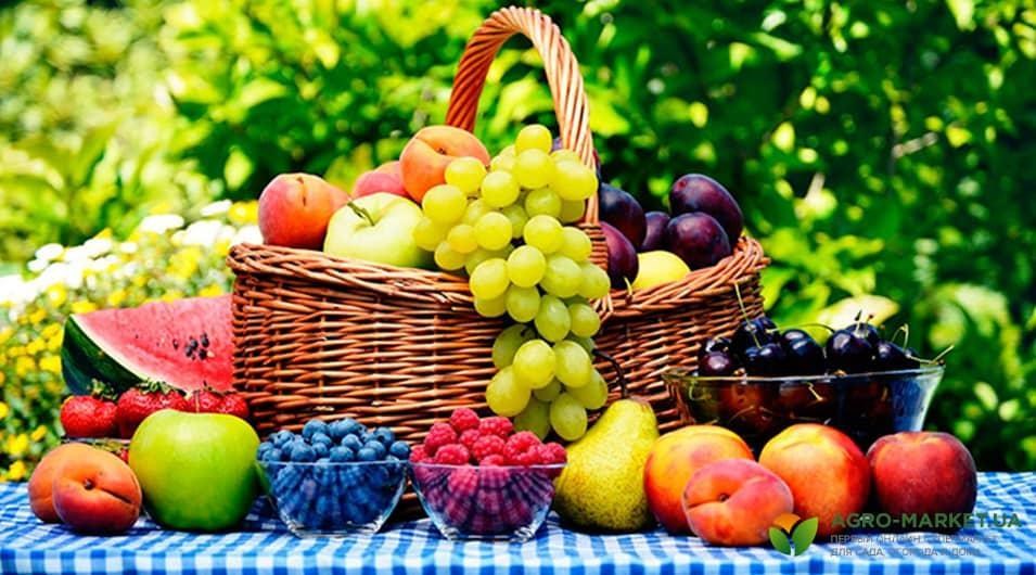 box2-min.jpg box2-min.jpg