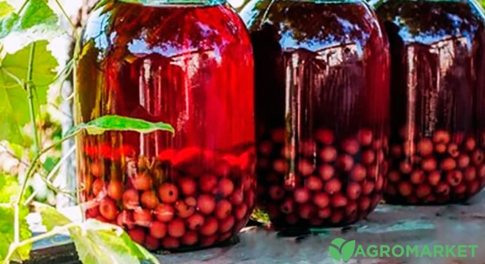 kompot2-min.jpg kompot2-min.jpg