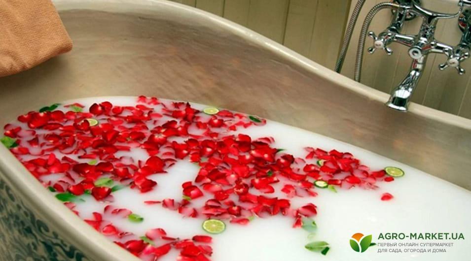 Чем заменить лепестки роз в ванной