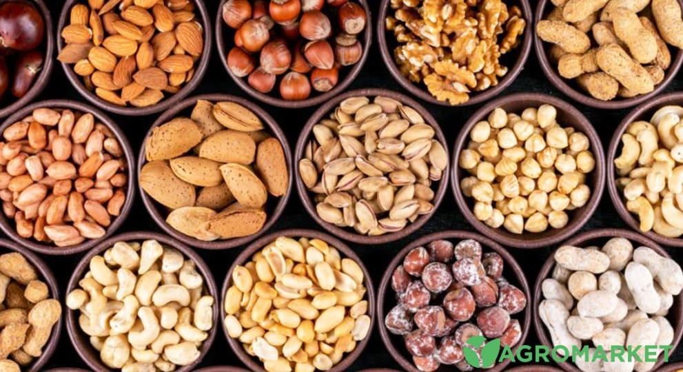 nuts1-min.jpg nuts1-min.jpg