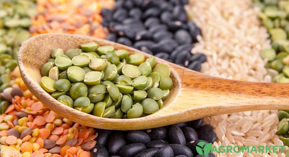 bob3-min.jpg bob3-min.jpg