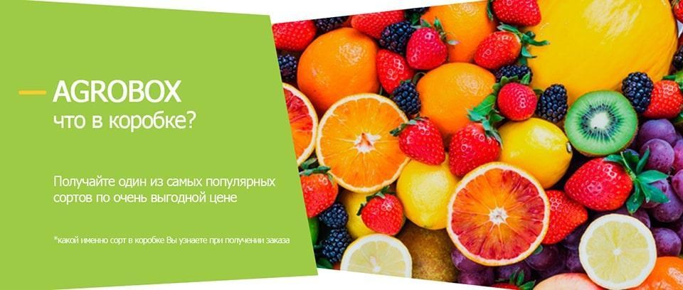 agrobox1-min.jpg agrobox1-min.jpg