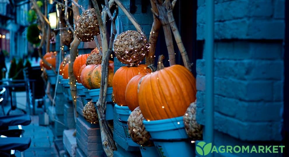 decopumkin1-min.jpg decopumkin1-min.jpg