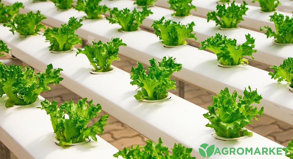 sub3-min.jpg sub3-min.jpg