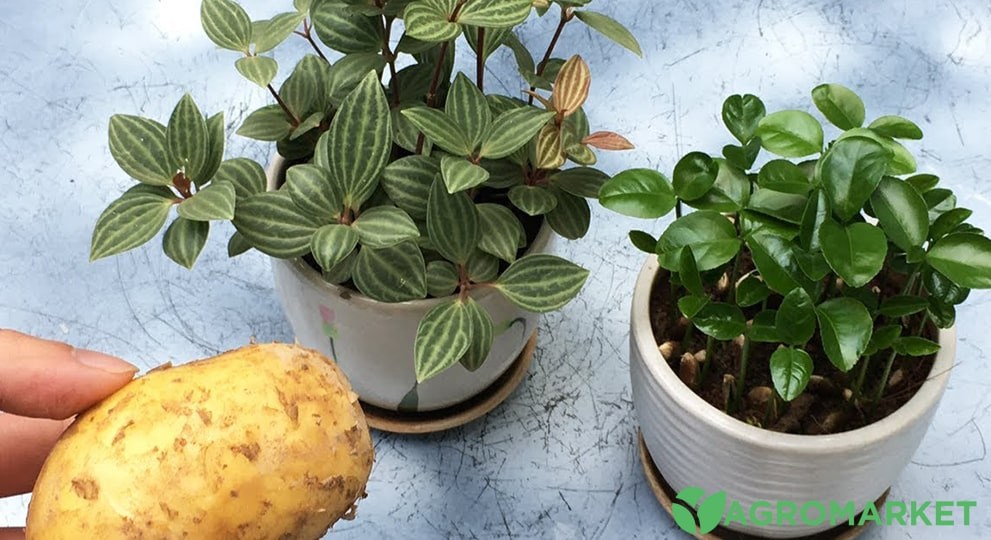 karto4-min.jpg karto4-min.jpg