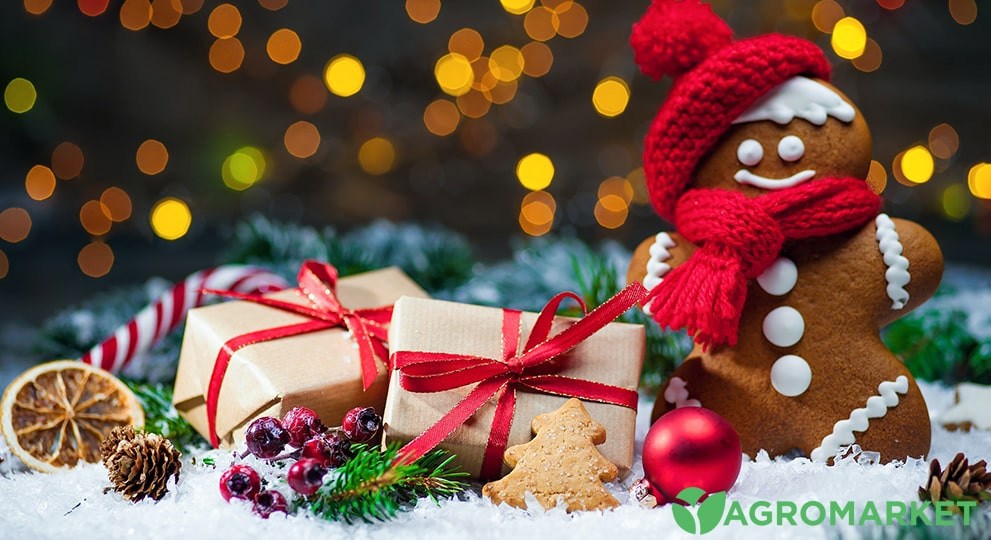 drakon5-min.jpg drakon5-min.jpg