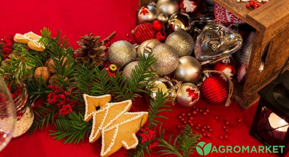 drakon6-min.jpg drakon6-min.jpg