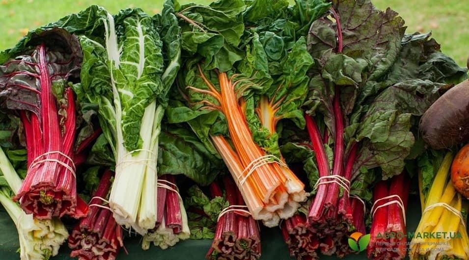 vegetables1-min.jpg vegetables1-min.jpg
