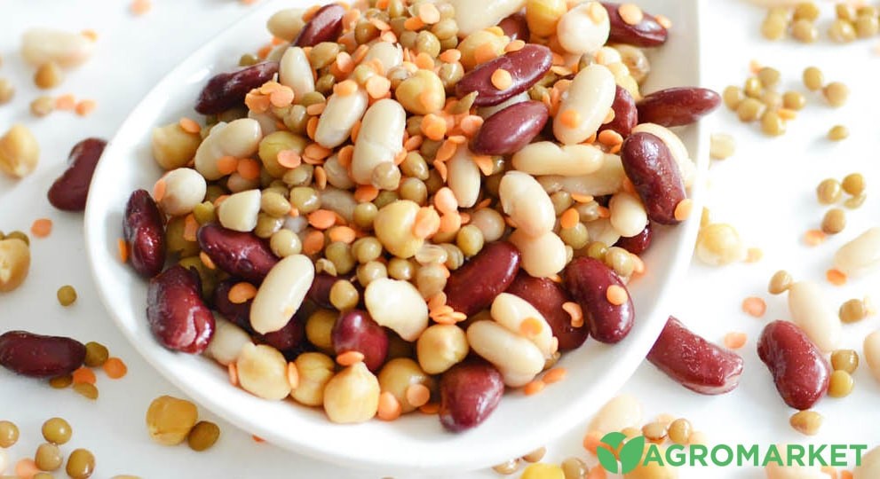 bob5-min.jpg bob5-min.jpg