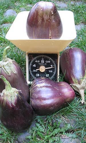 Василь Лазар7.jpg Василь Лазар7.jpg